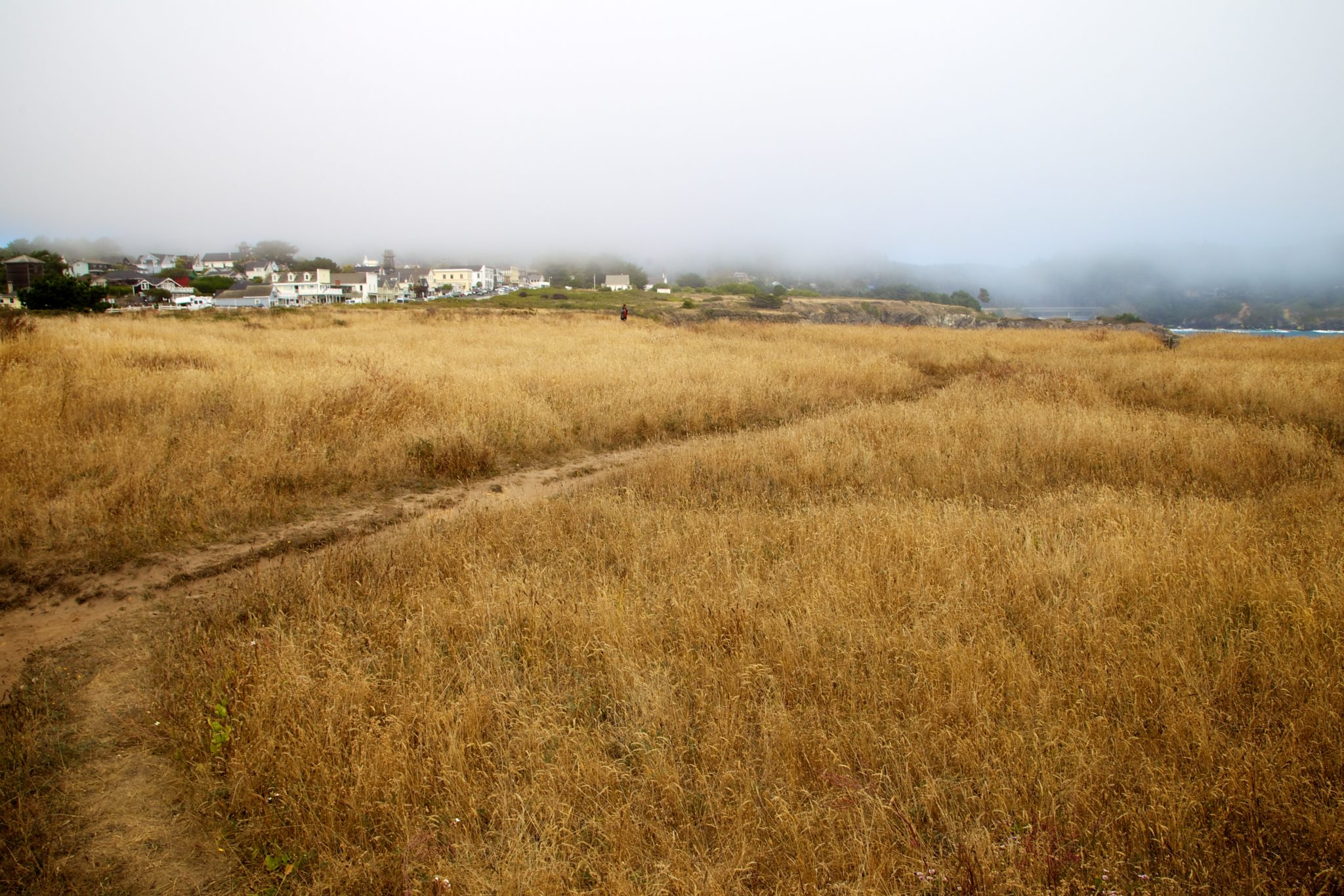Mendocino 21
