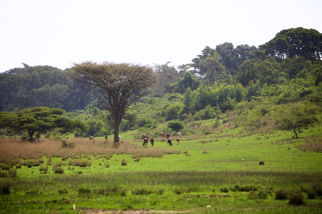 Ethiopia 12