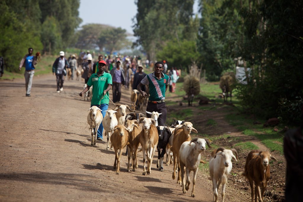 Ethiopia 14