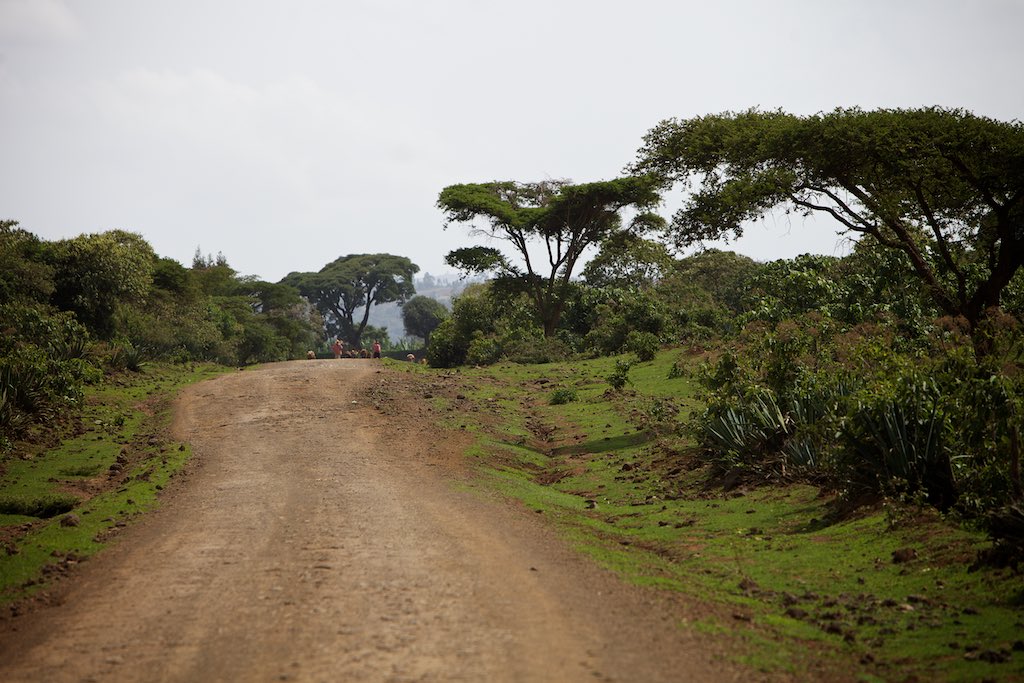 Ethiopia 15