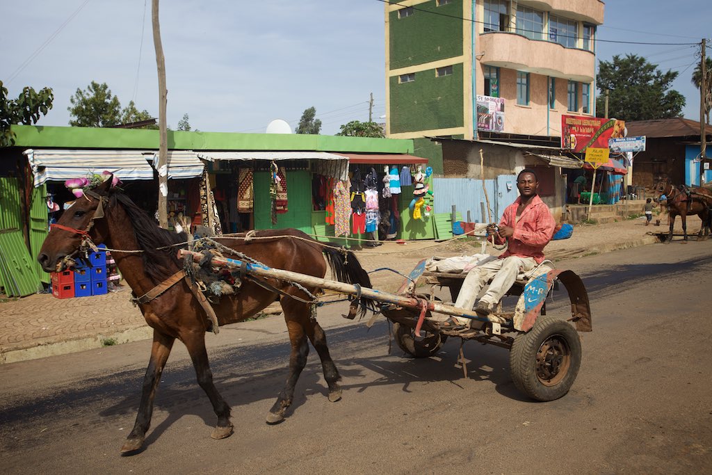 Ethiopia 16