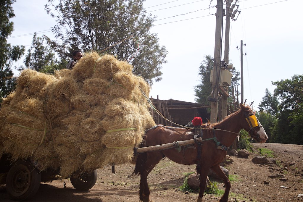 Ethiopia 18