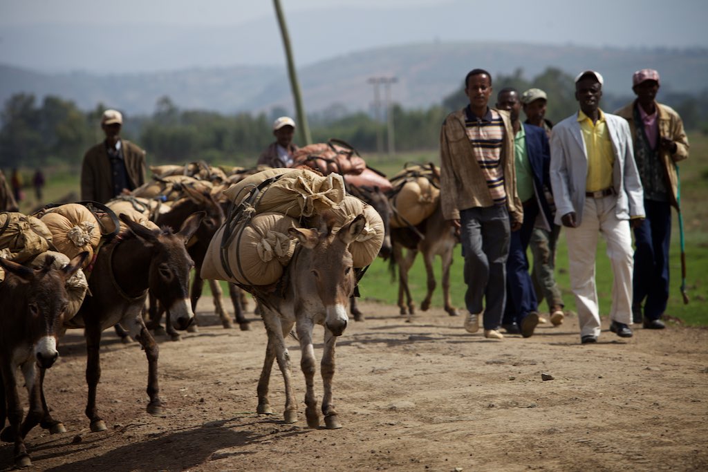 Ethiopia 19