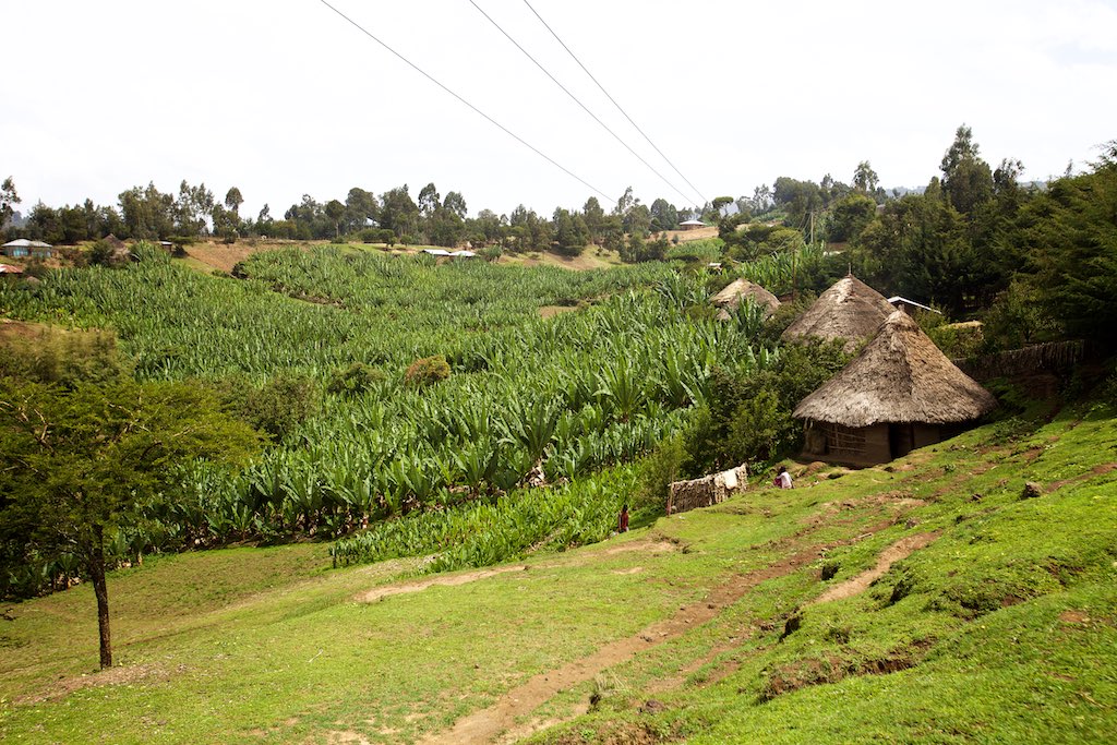 Ethiopia 31