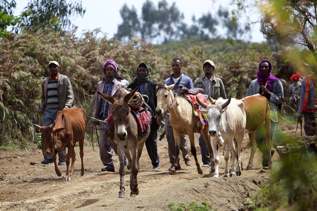 Ethiopia 32