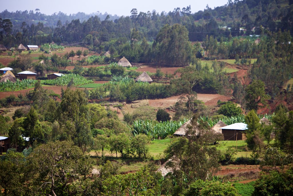 Ethiopia 3